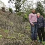 US-based Nigerian doctor faces $1m fine over alleged illegal tree felling in California